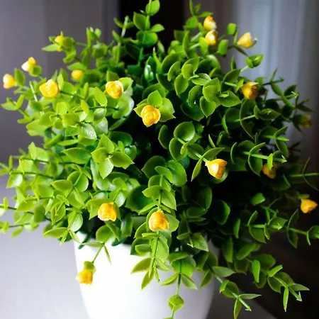 Apartman в самому центрі вул костюшка Lviv